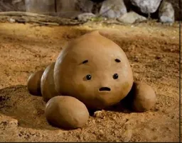 미식여행을 떠난 강아지똥
