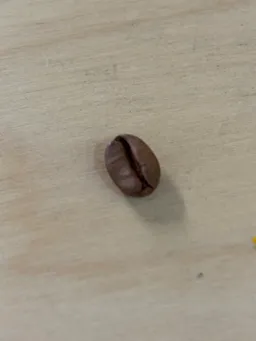 커피마시고싶다