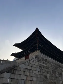 잼몽