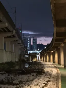 저점높은미식가