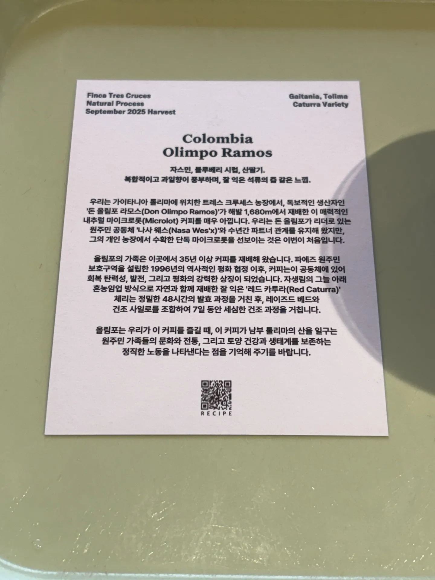 이미지 3