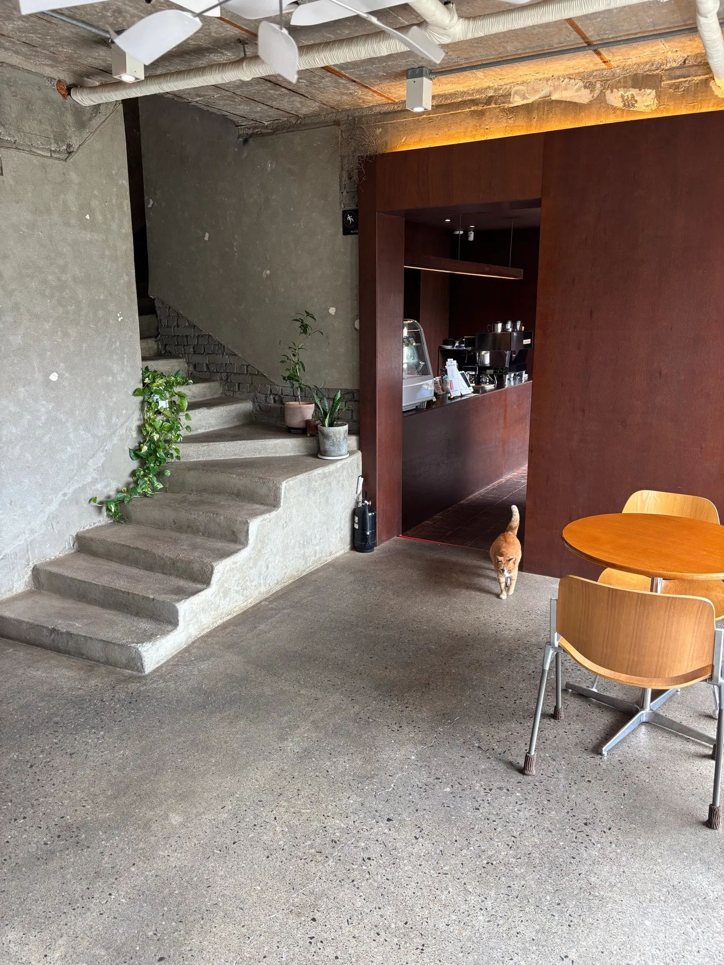 Guru Coffee Roasters Gongmadangの写真3