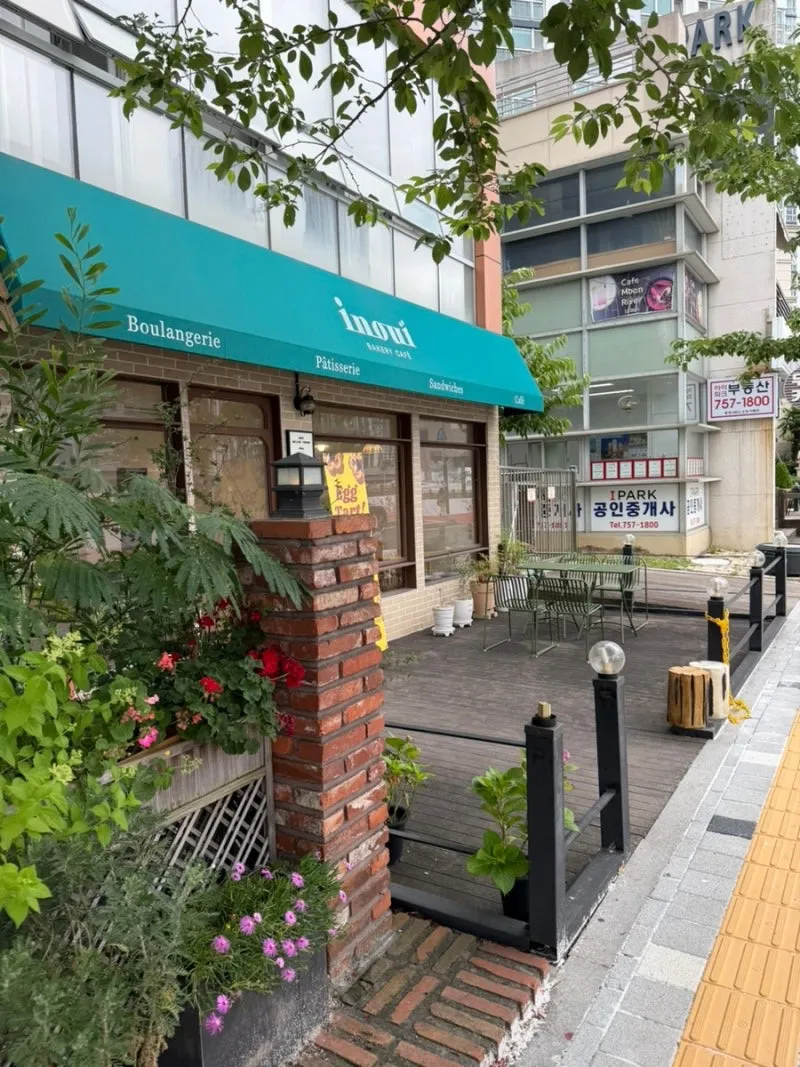 이미지 5