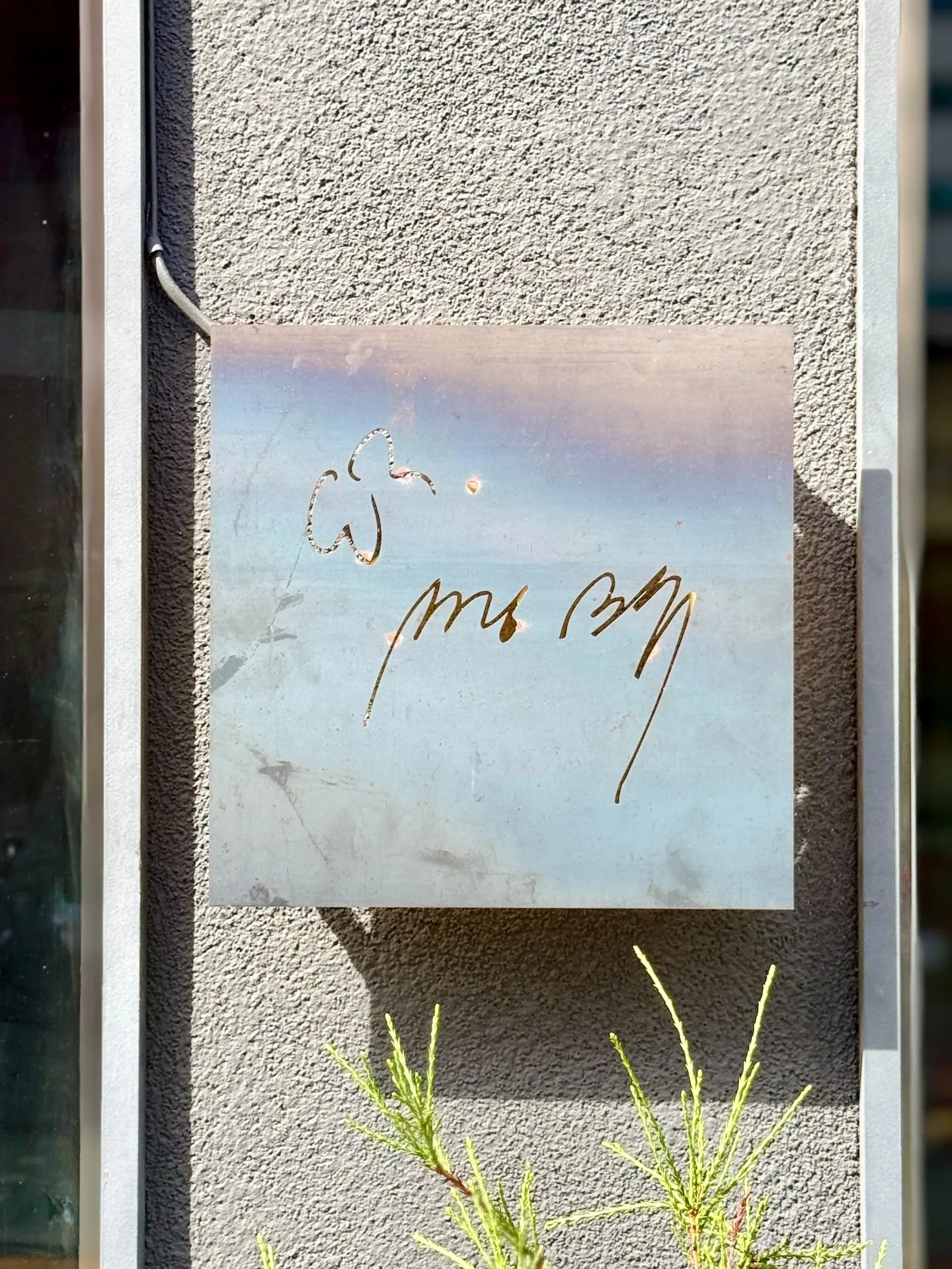 이미지 5