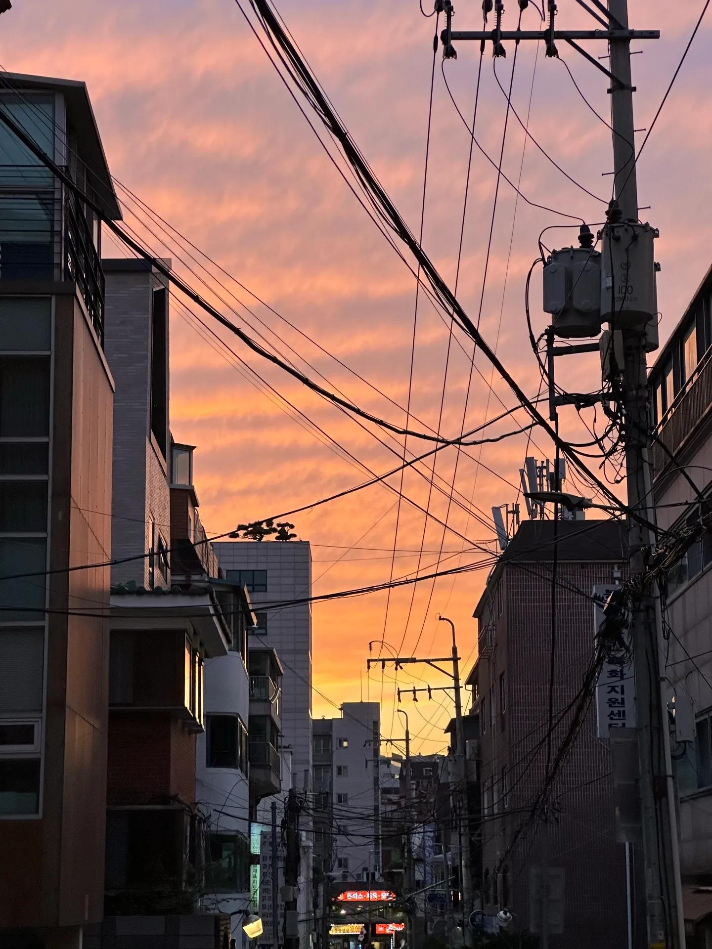 이미지 2