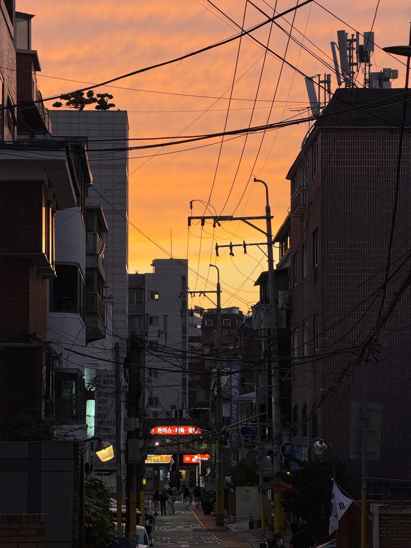 이미지 6
