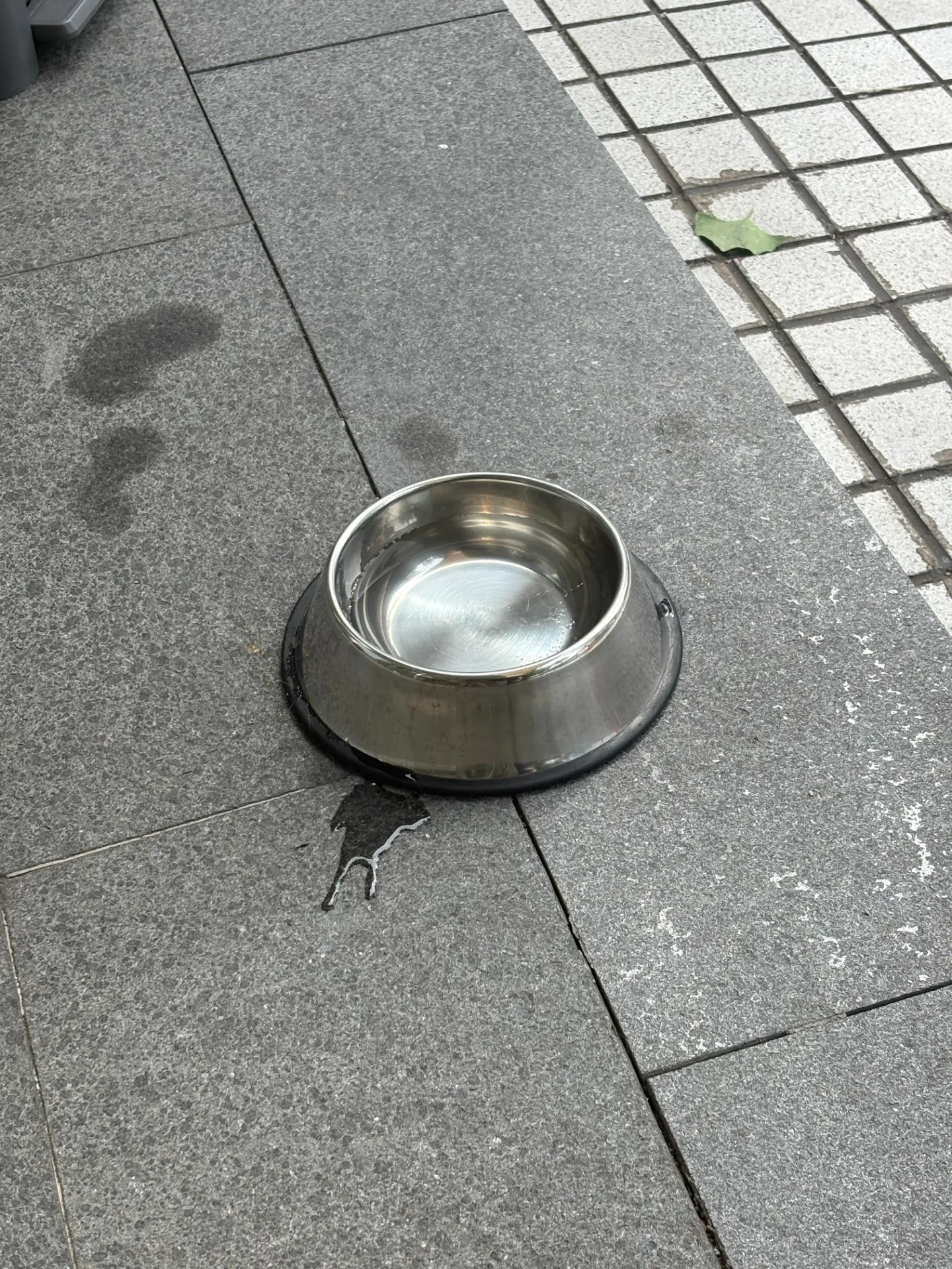이미지 3