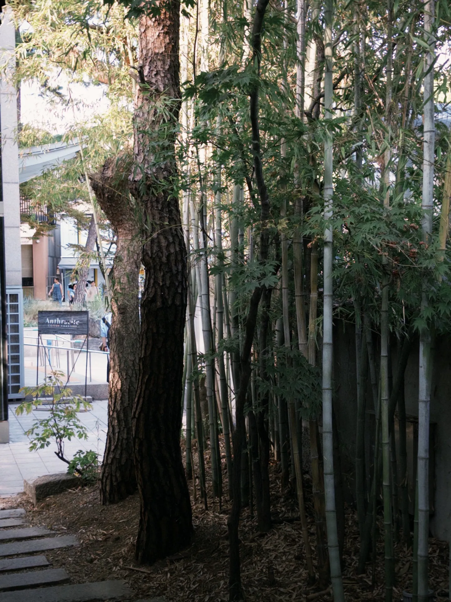 이미지 1