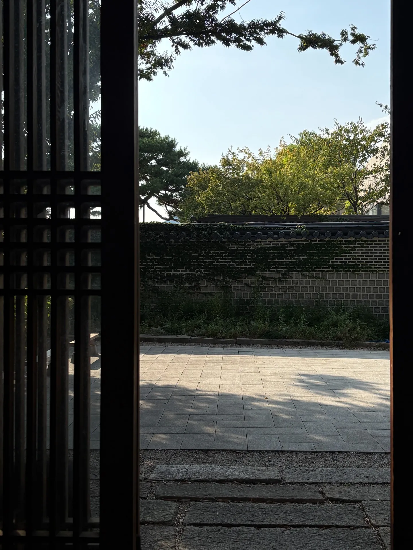 이미지 1