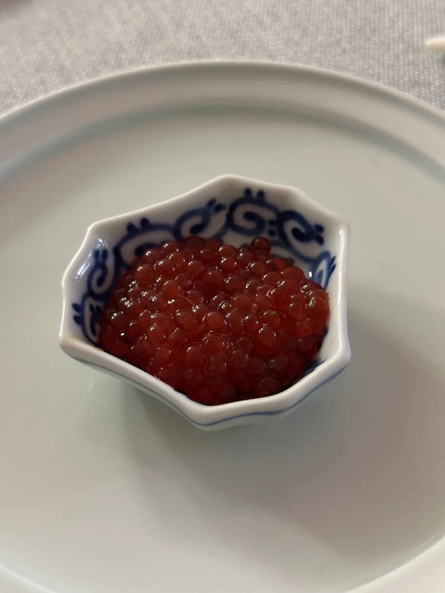 이미지 5