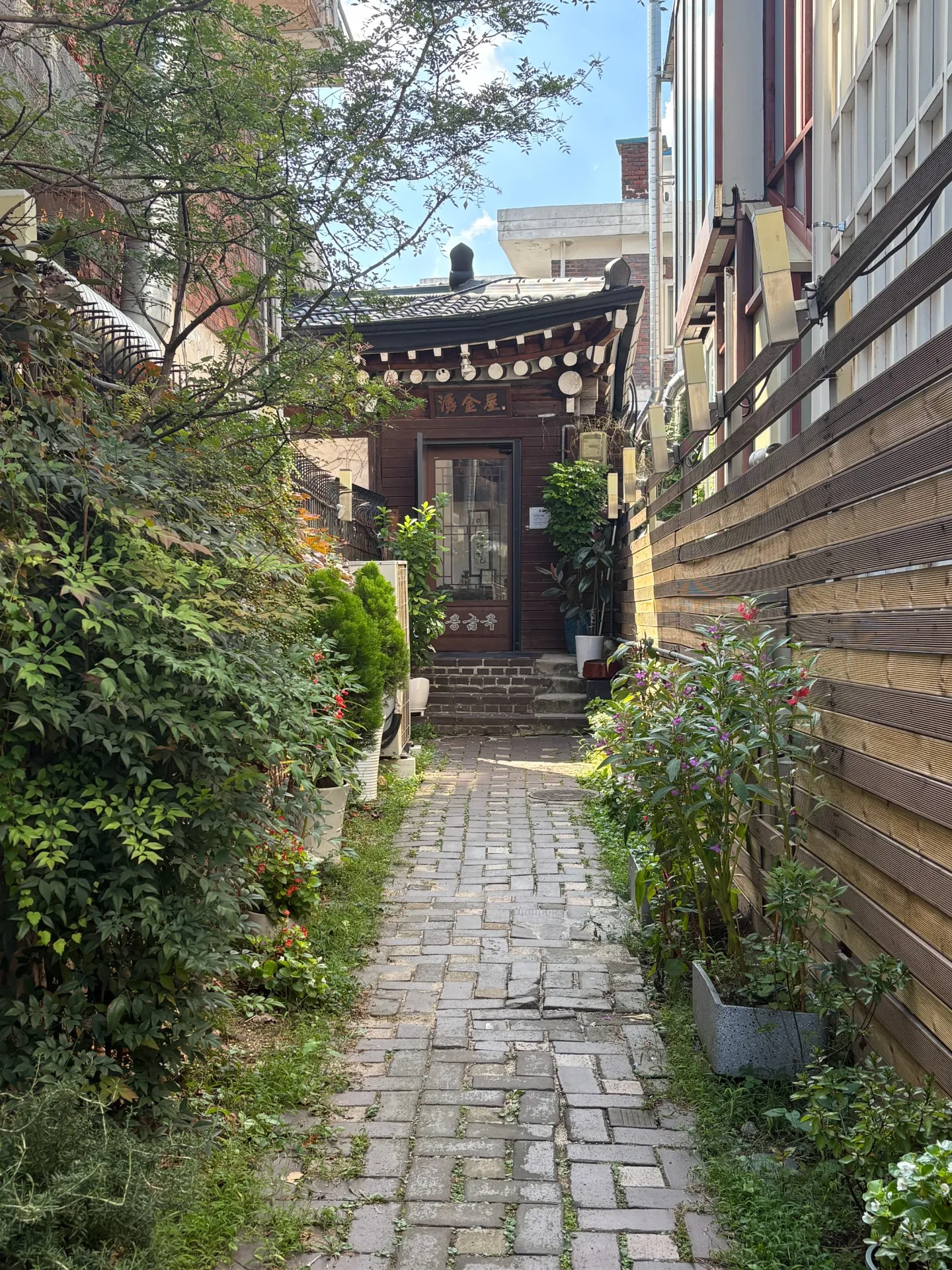 이미지 2