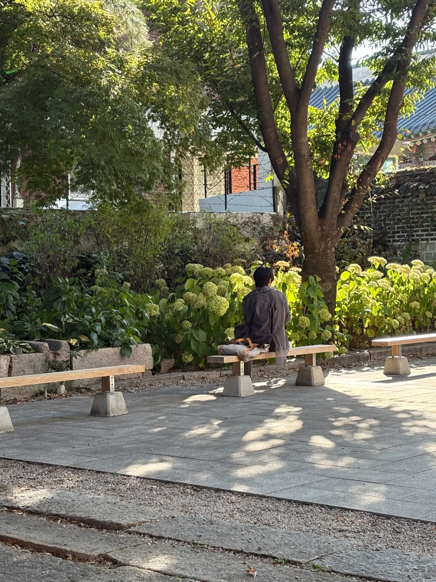 이미지 3