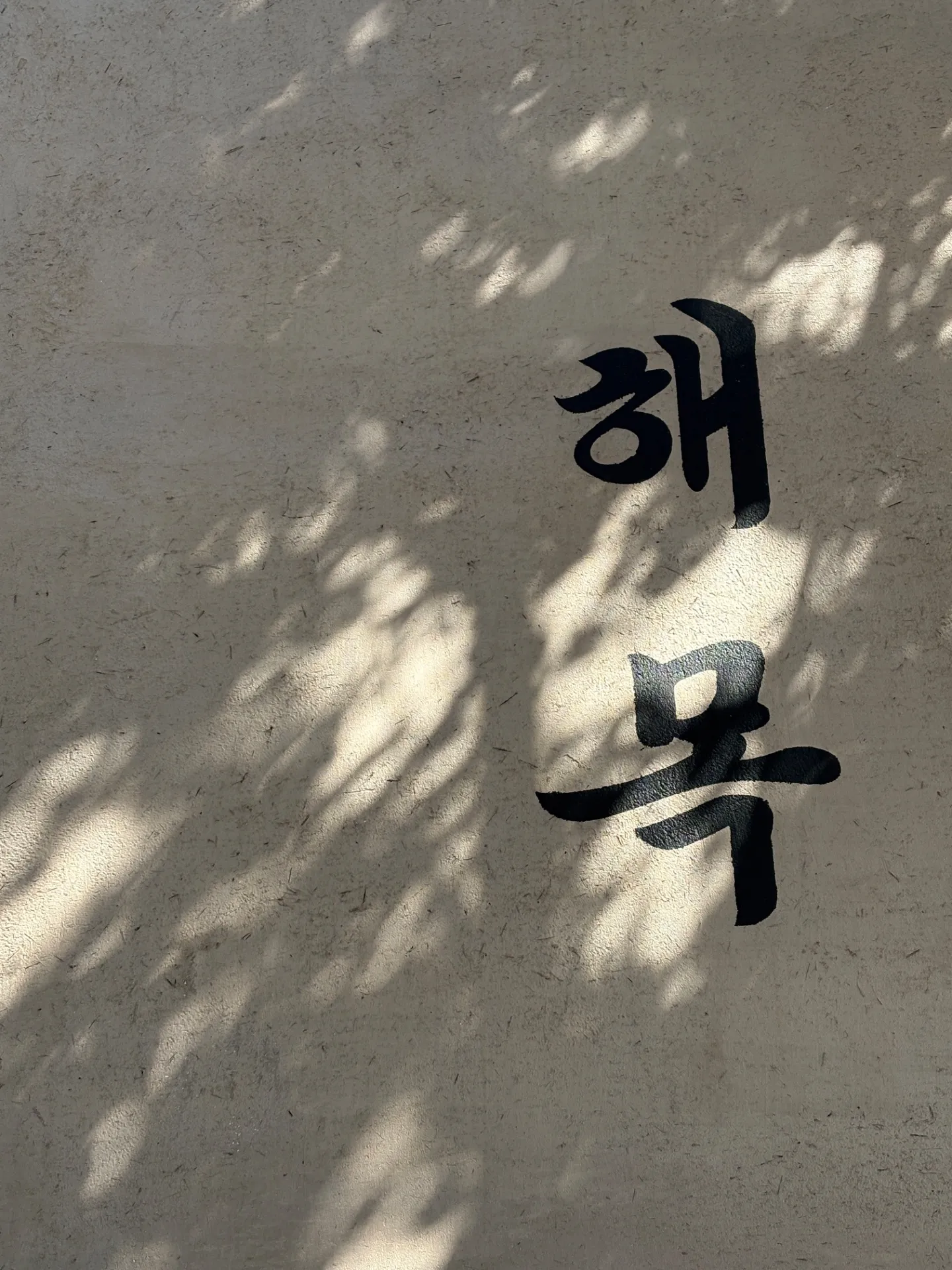 이미지 2