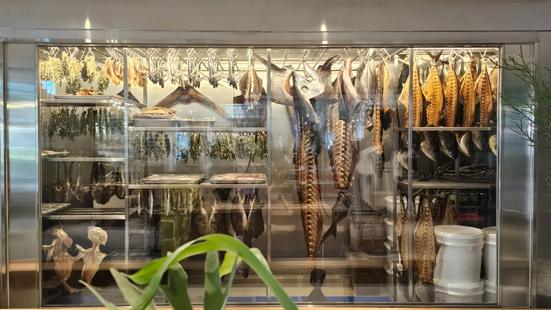 Fish Culture photo 3