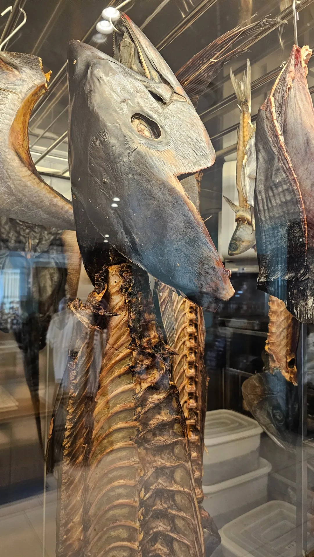 Fish Culture photo 2
