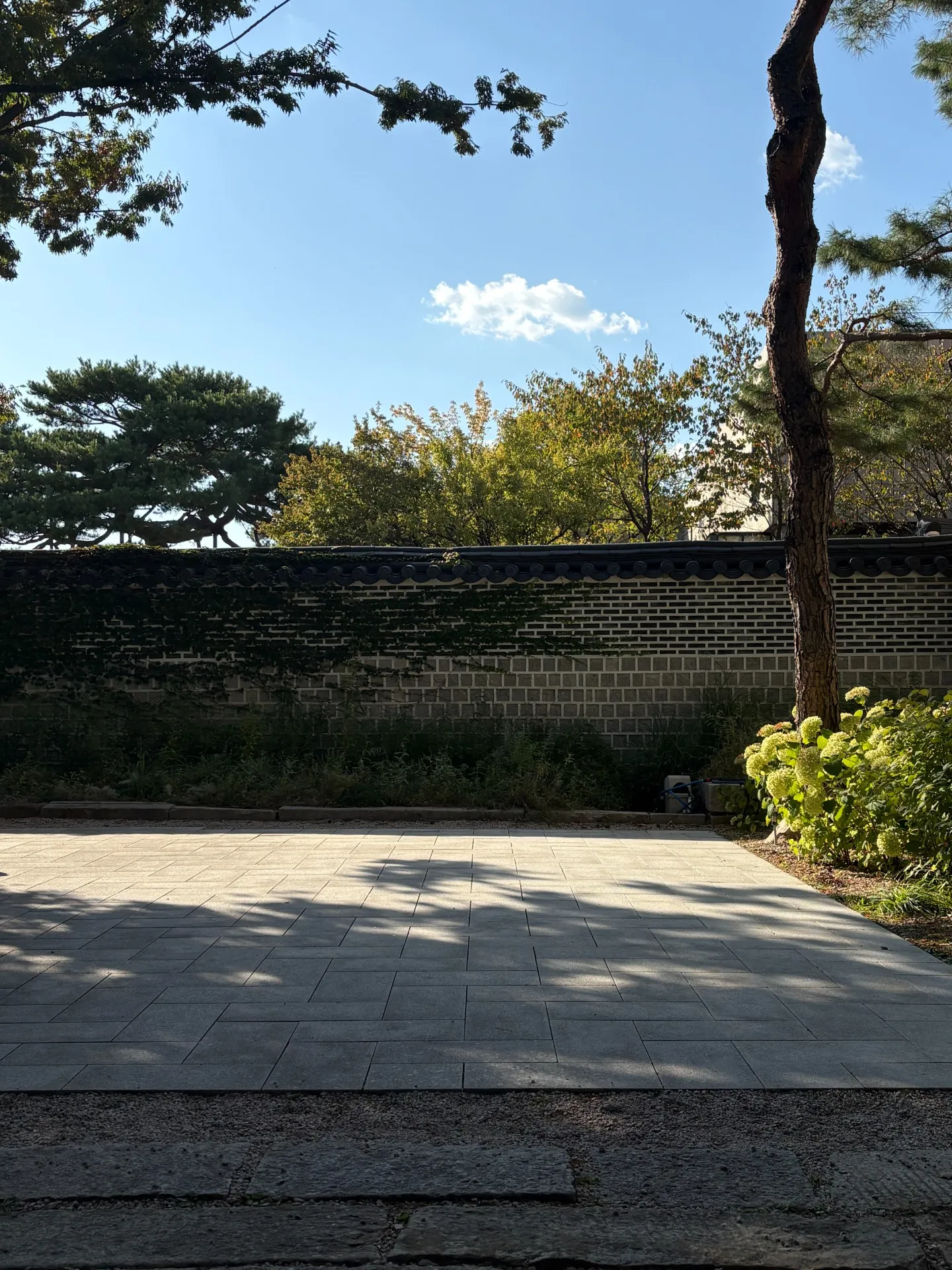 이미지 1