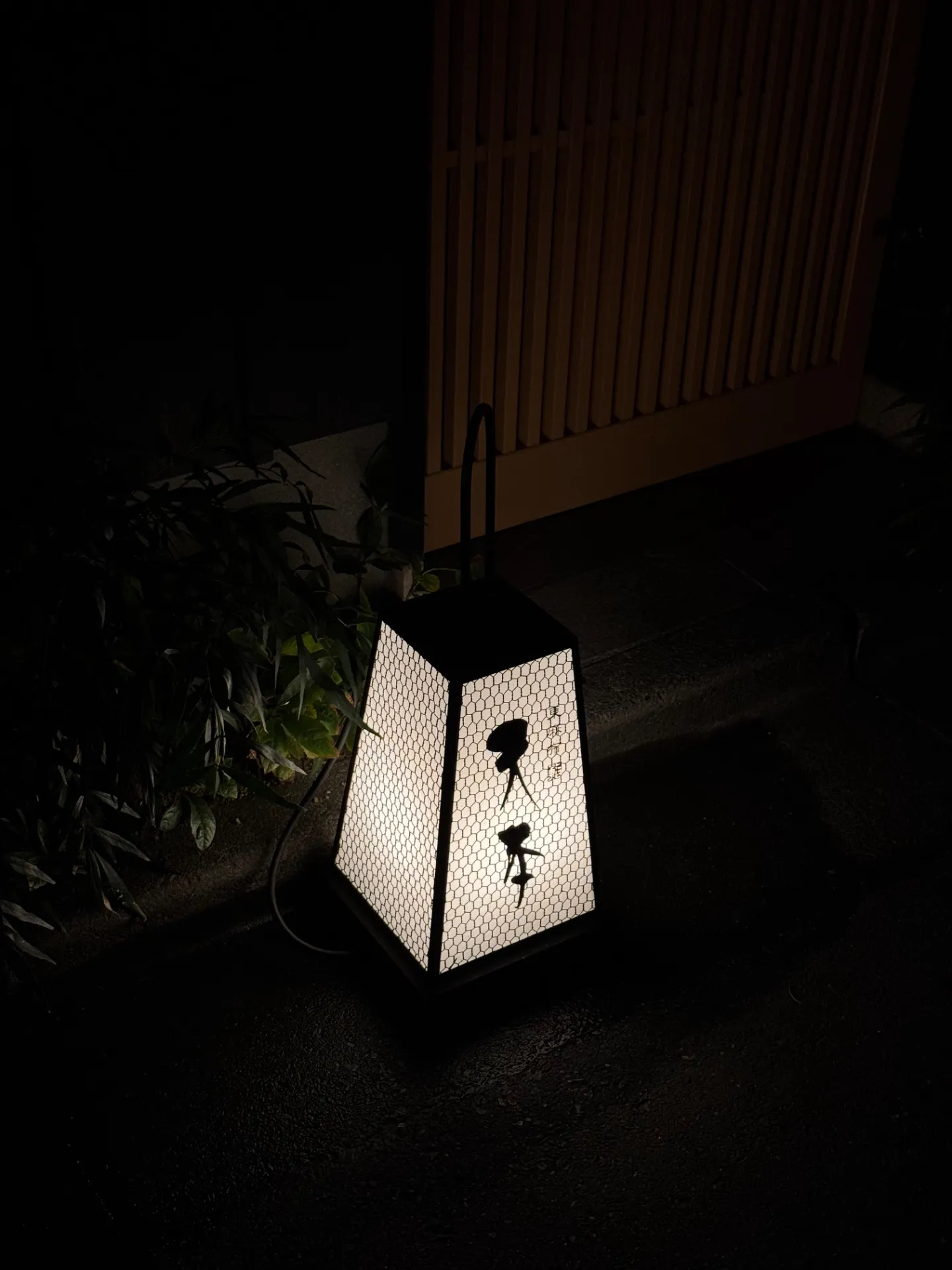 이미지 1