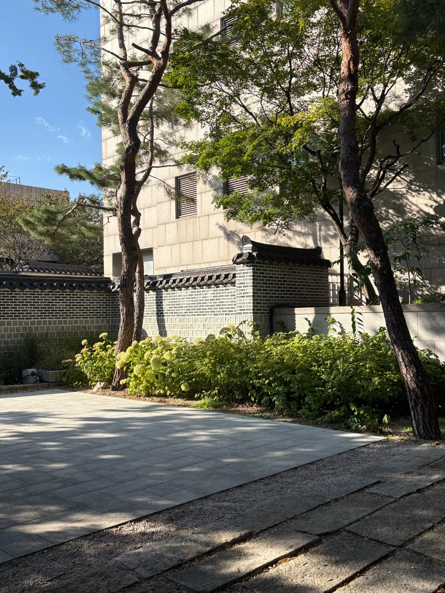 이미지 3