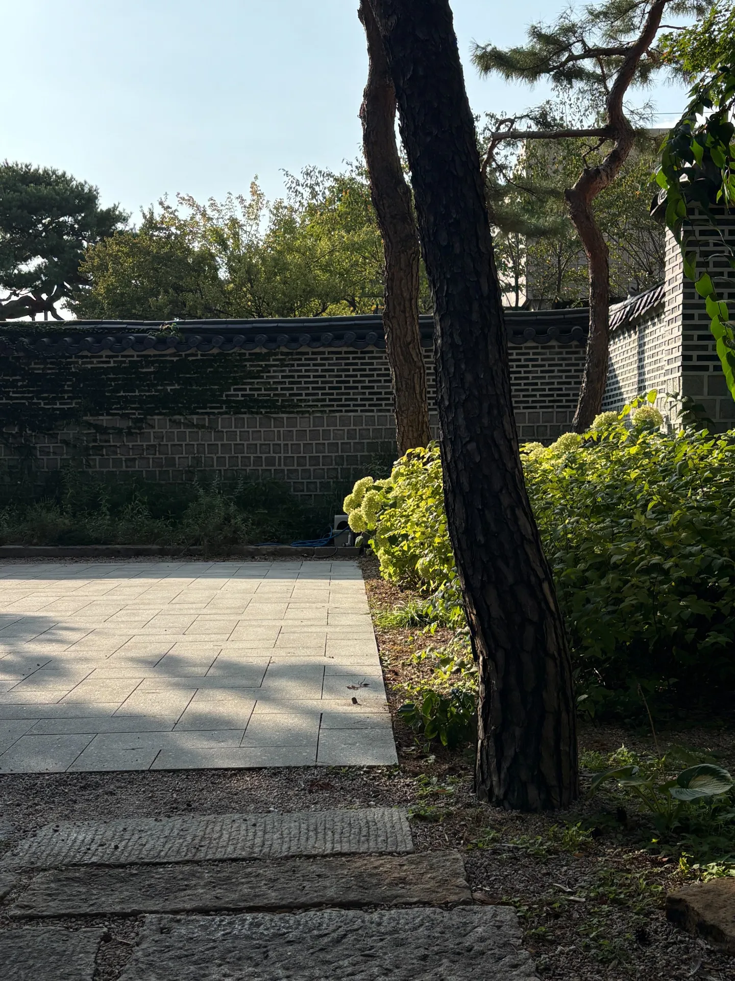 이미지 2