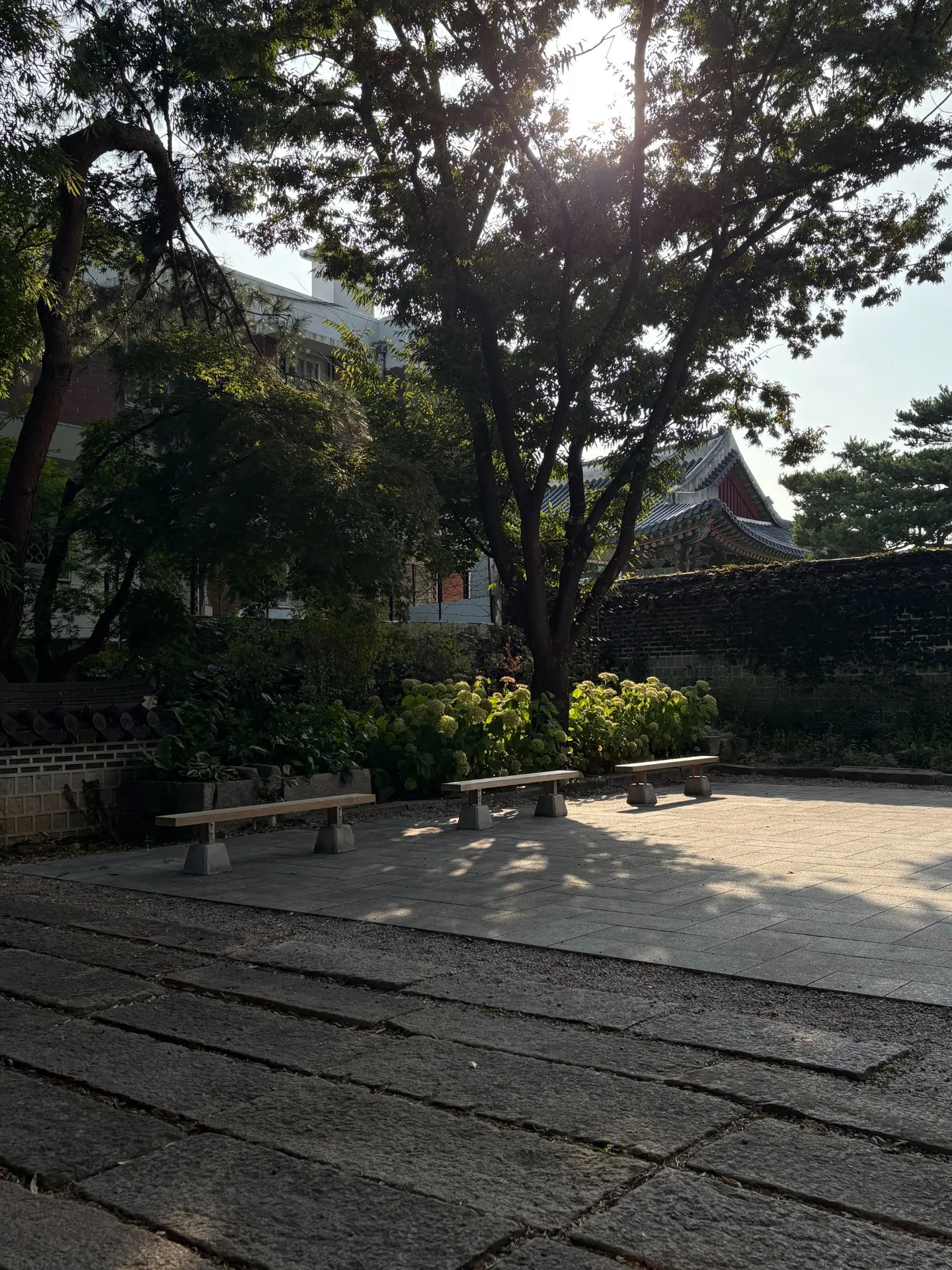 이미지 4