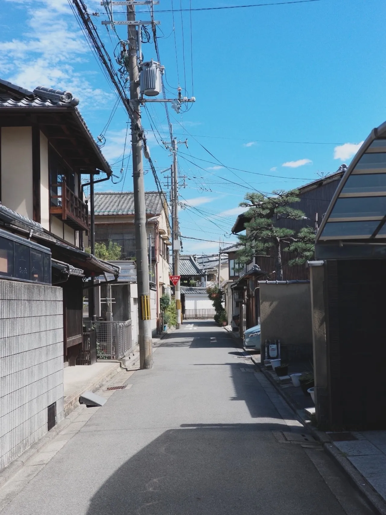 이미지 5