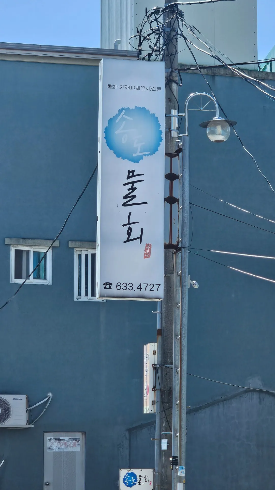 이미지 5