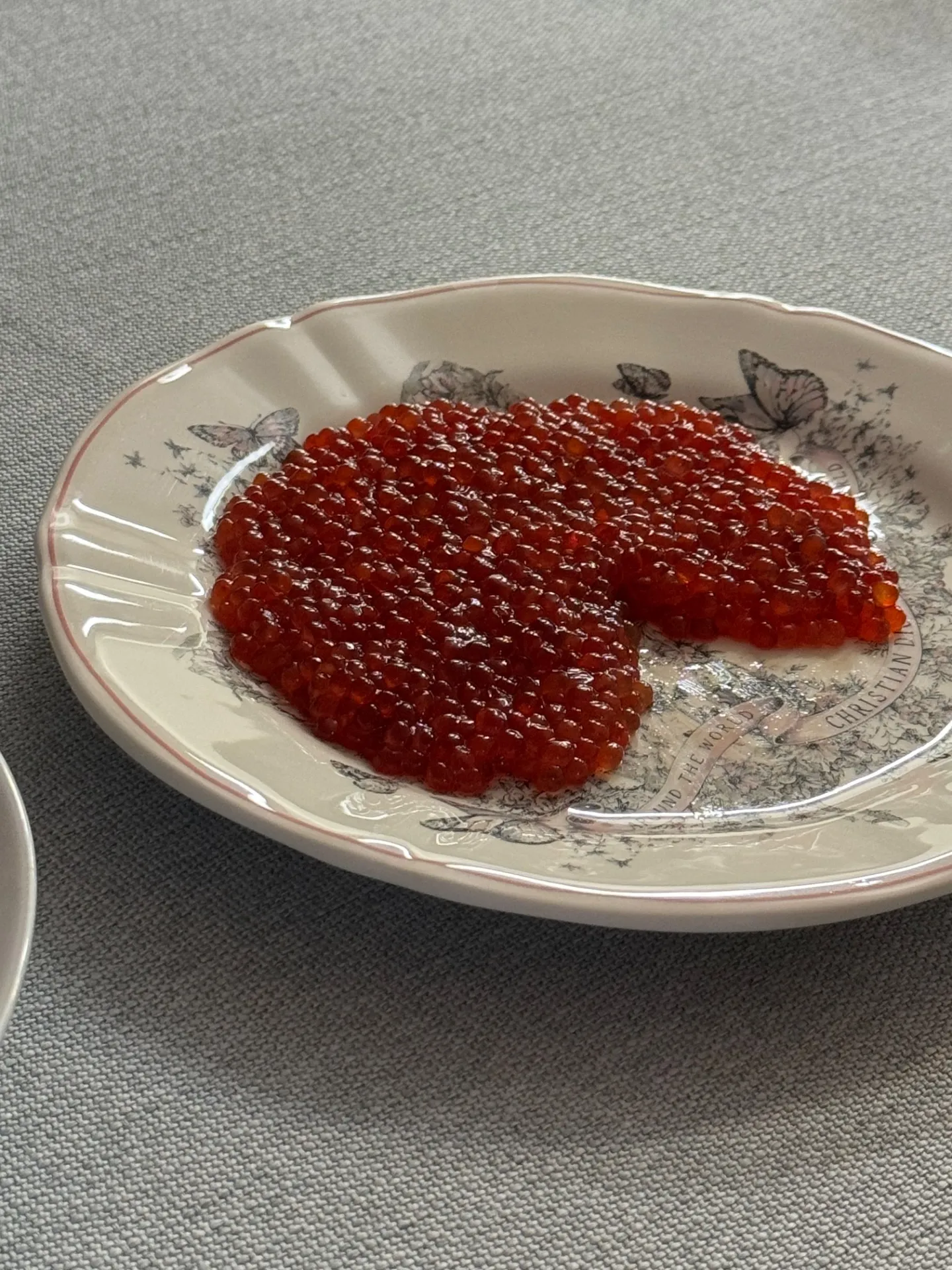 이미지 4