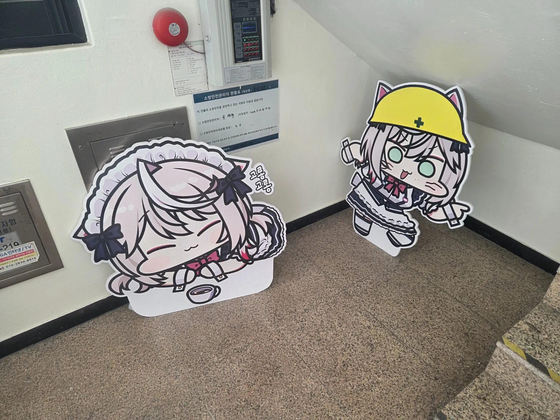 이미지 2