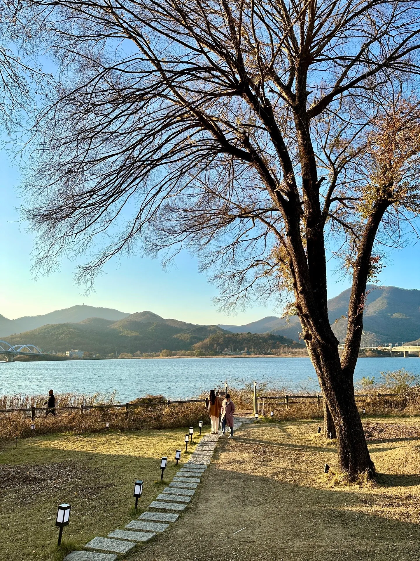 카페 그림정원 사진 5