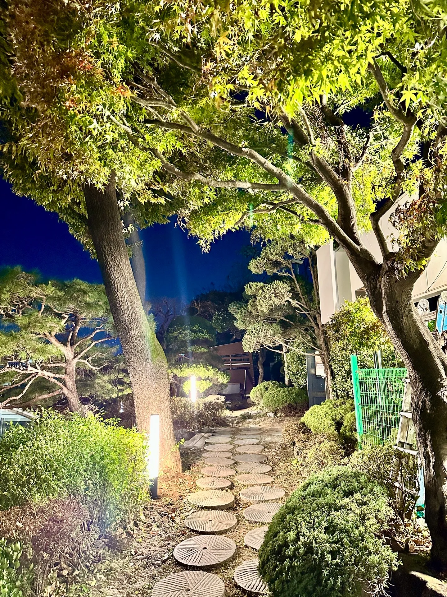 이미지 5