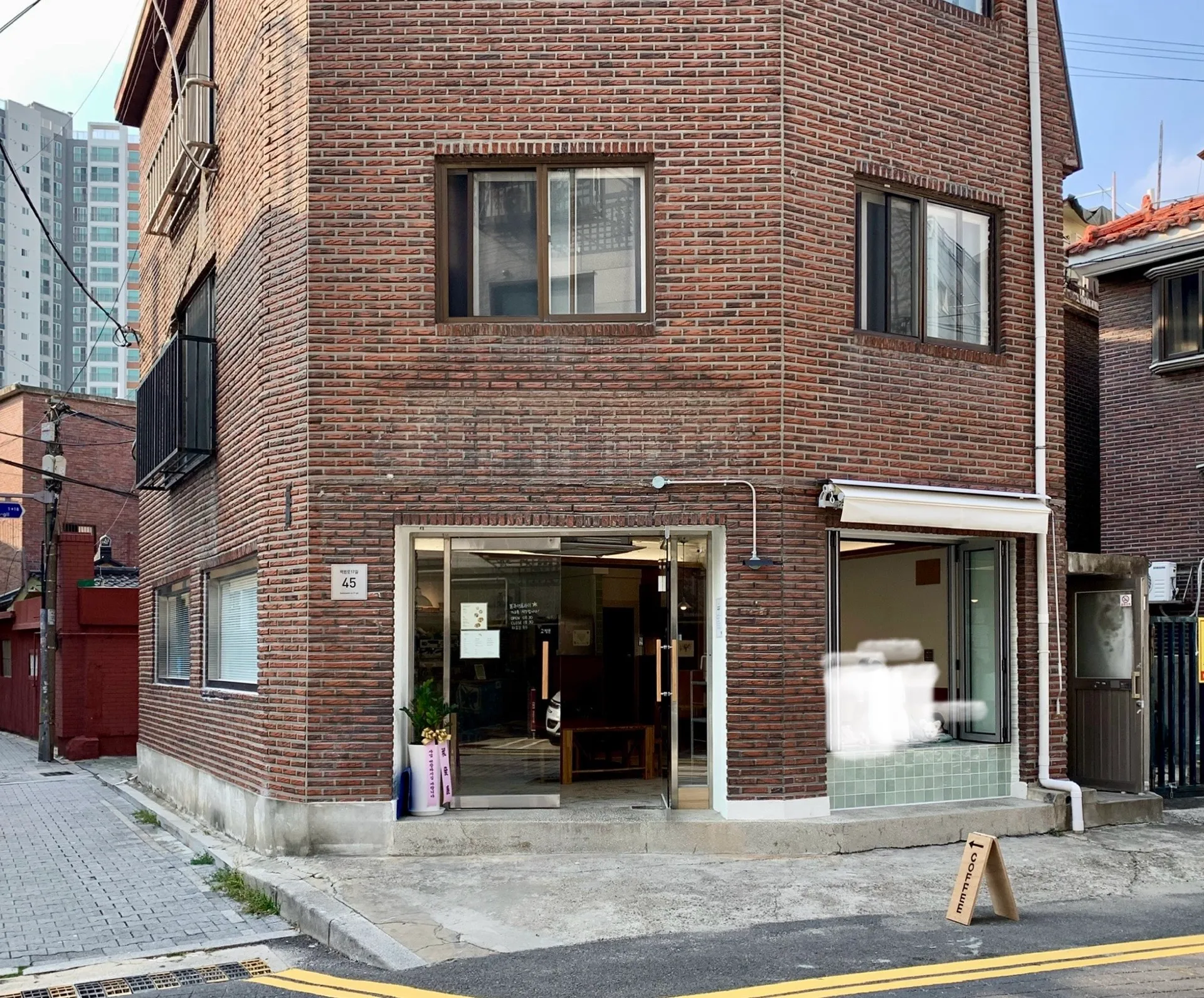 봄과여름사이 사진 3