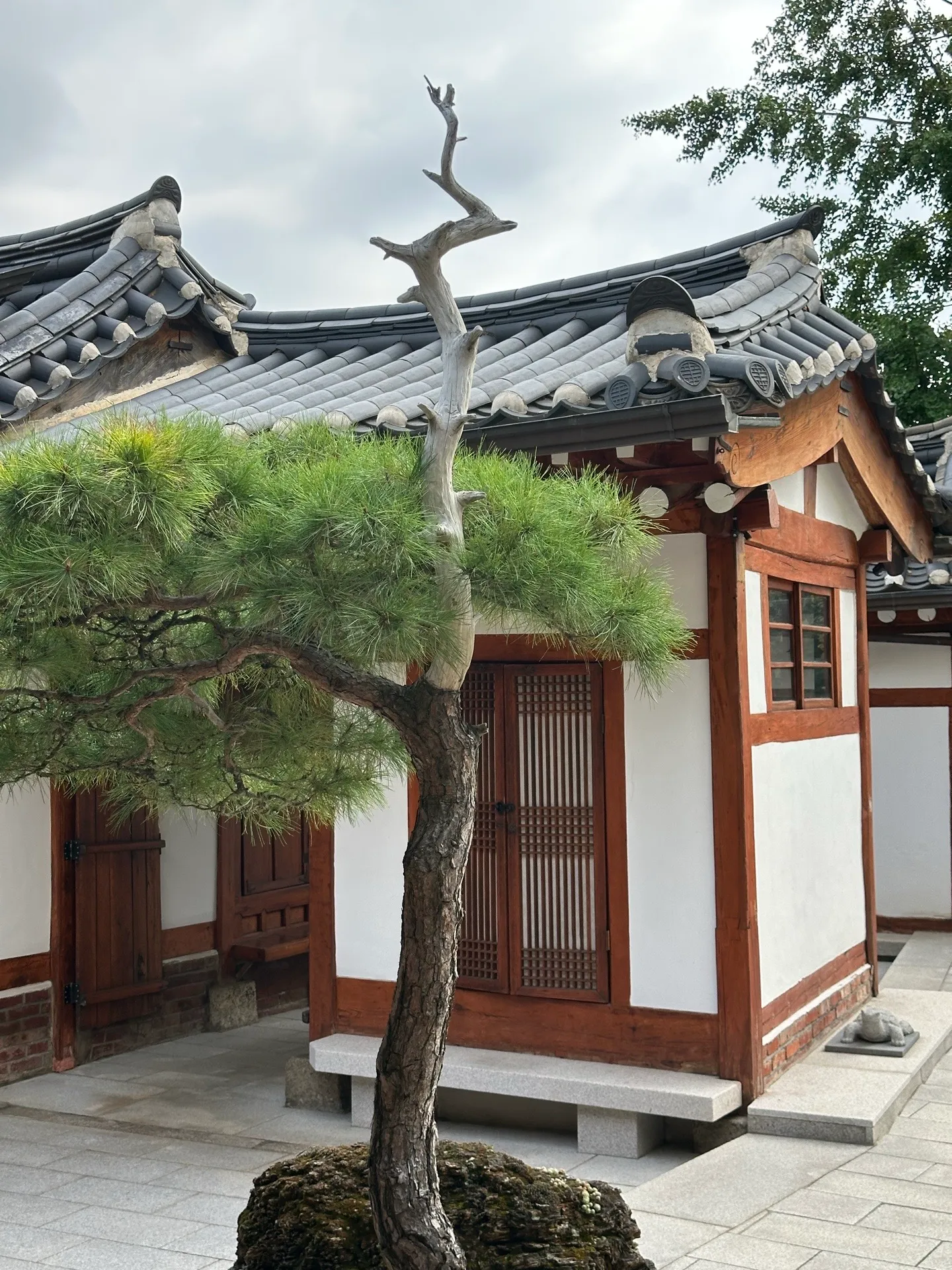 이미지 1