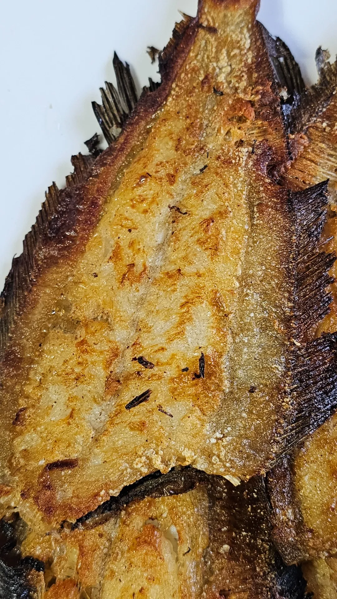 이미지 2