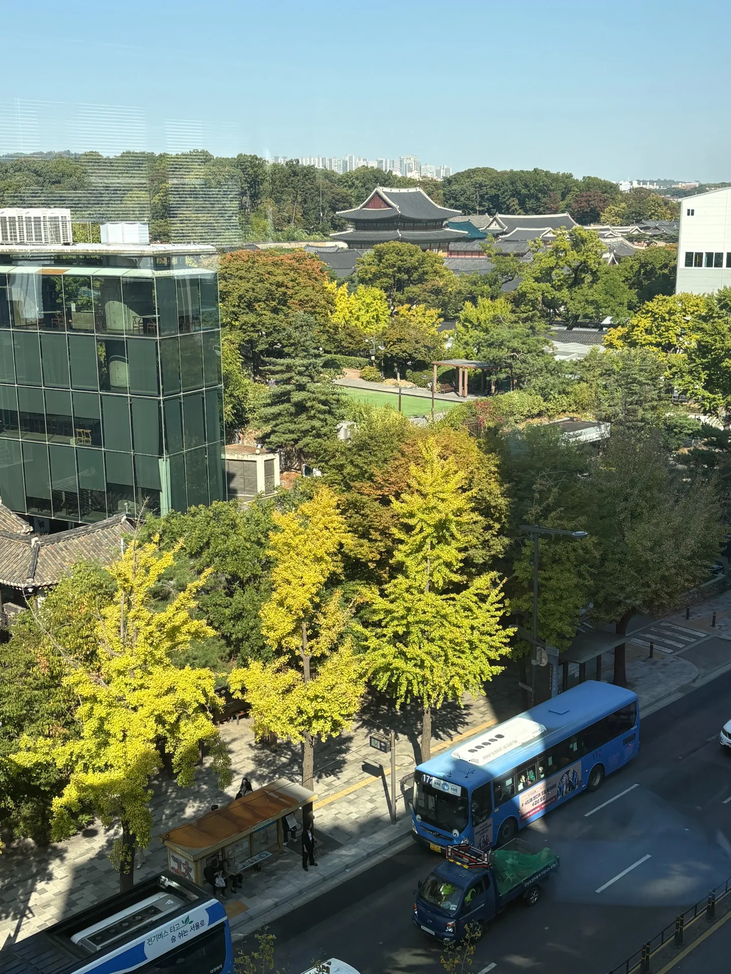 이미지 4