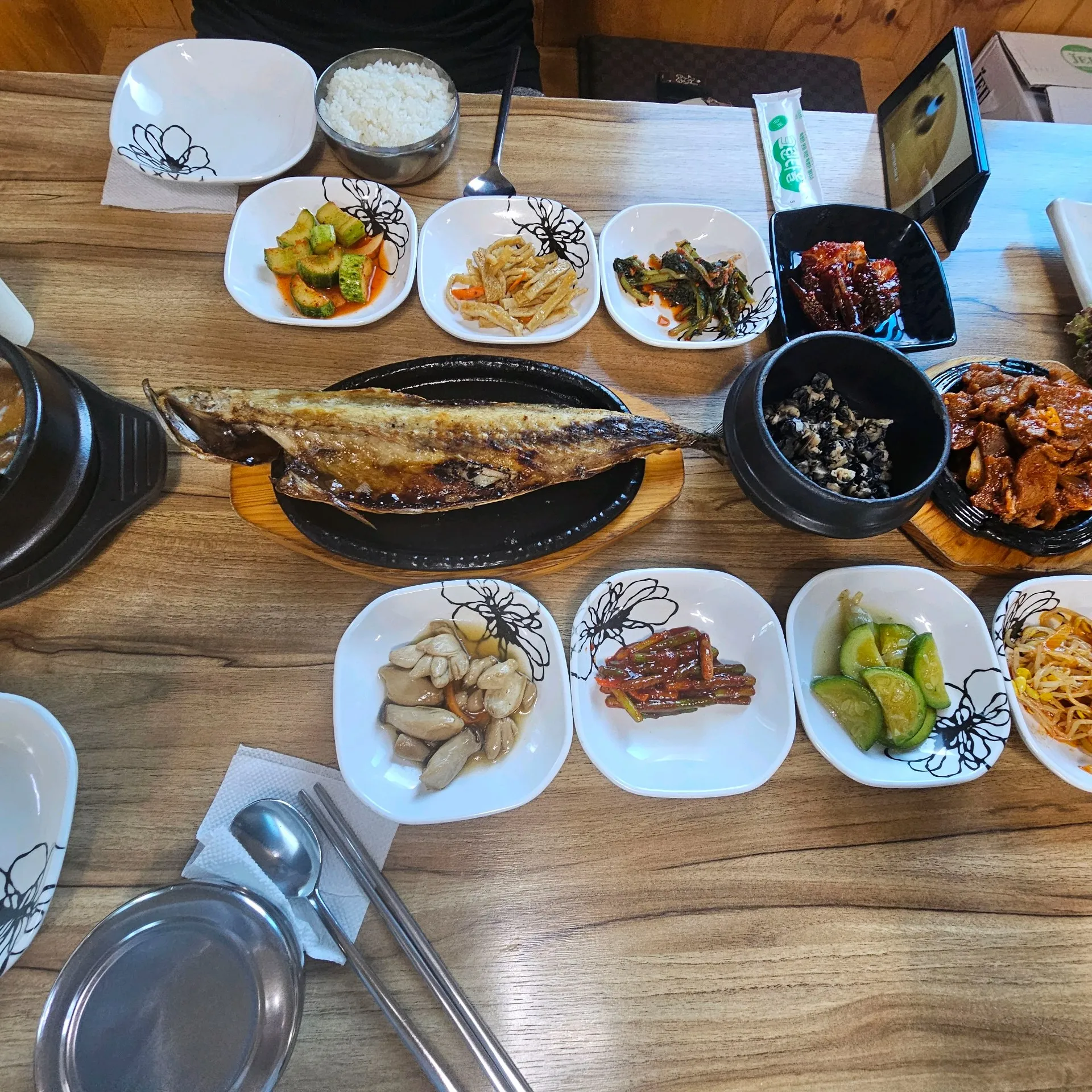 다미 사진 2