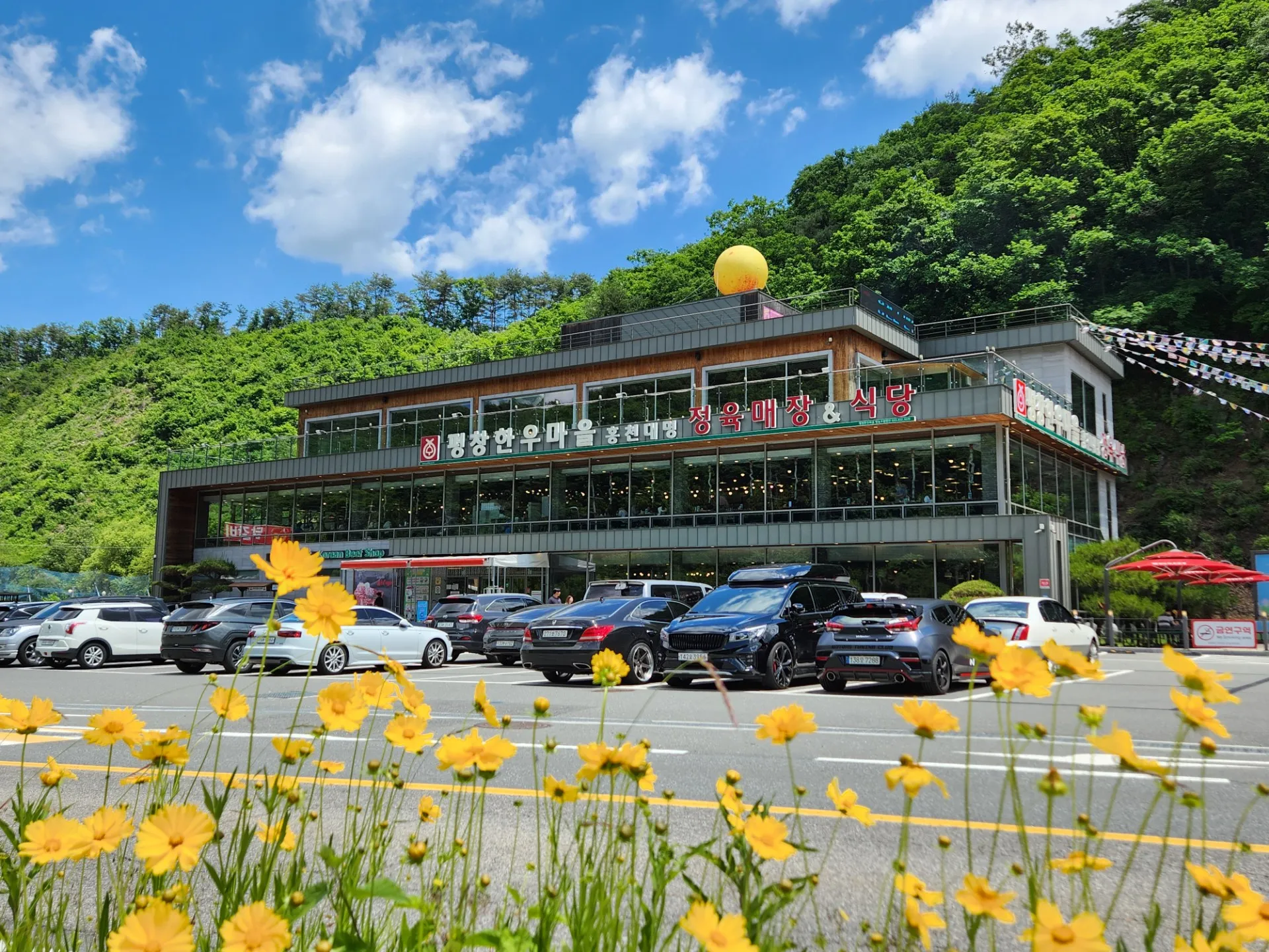 Pyeongchang Hanwoo Maeul Hongcheon Daemyung photo 1