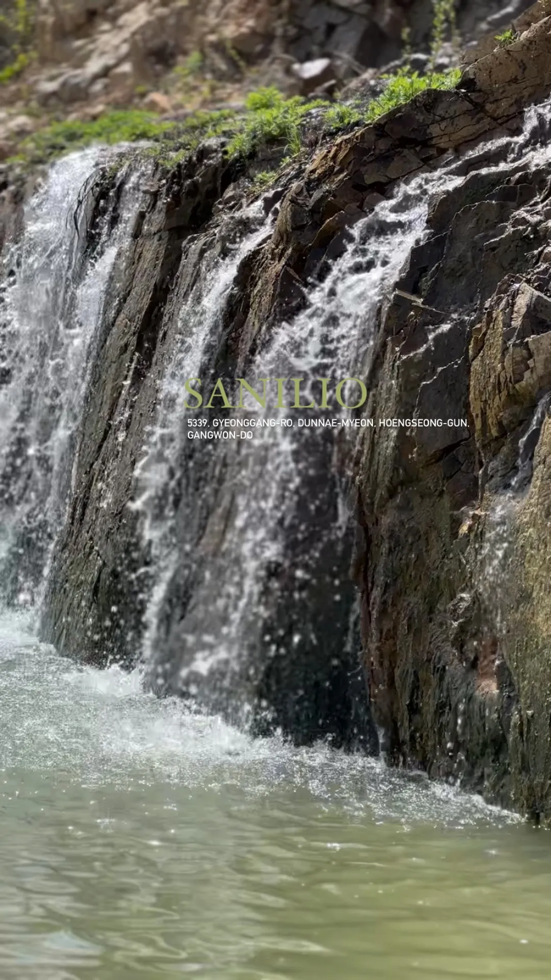 Sanilio照片2