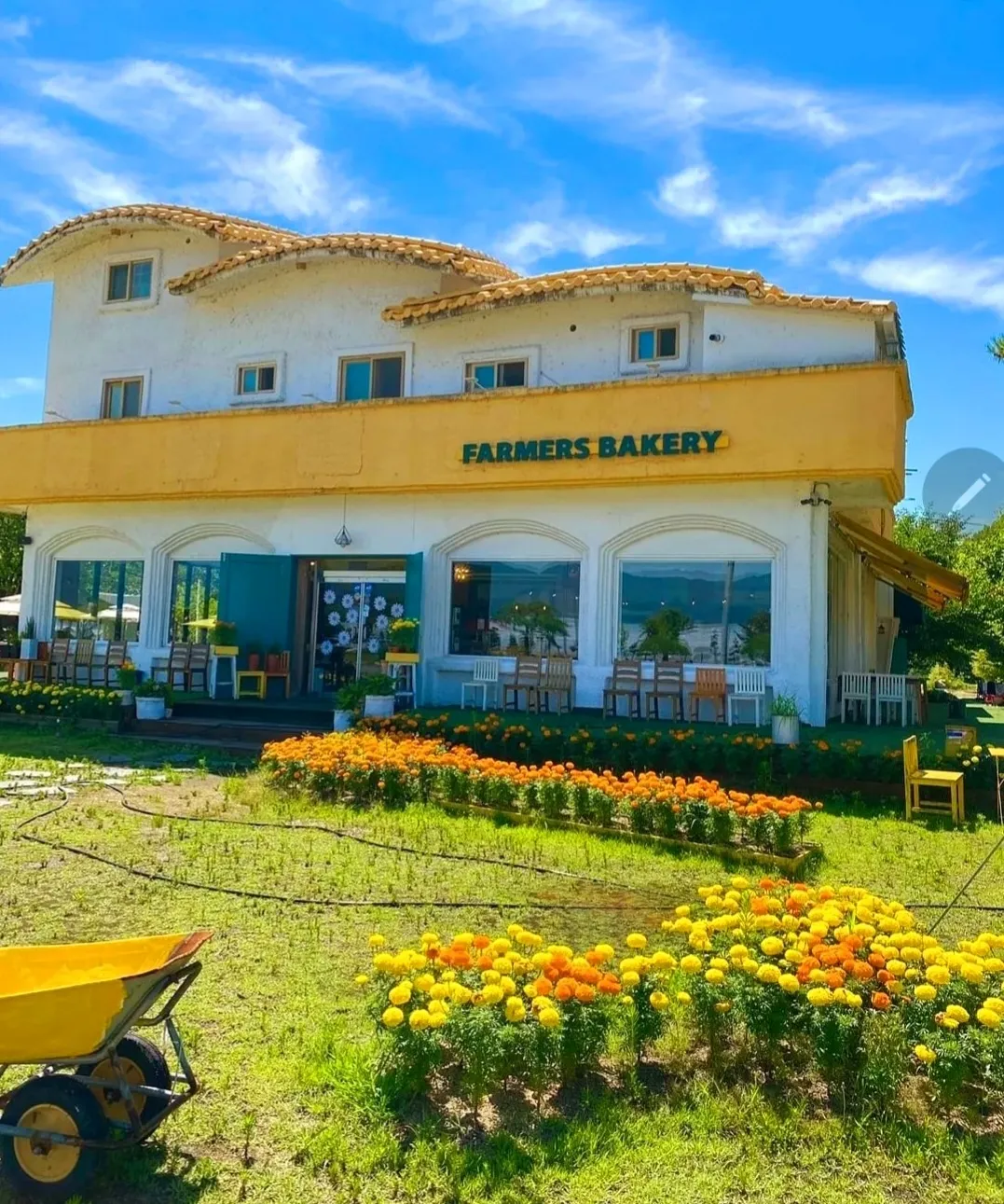 Farmer's Gardenの写真1