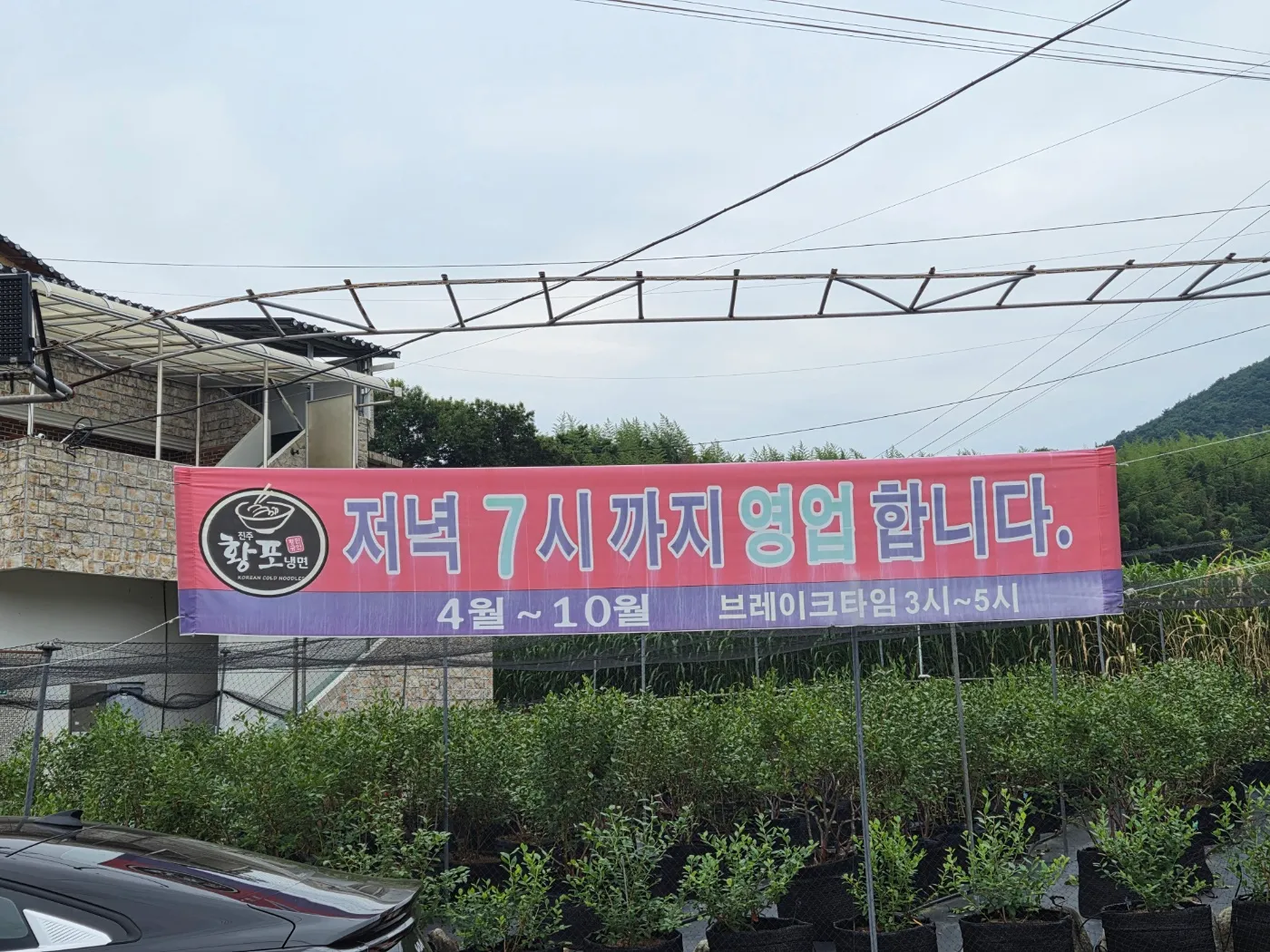 Jinju Hwangpo Naengmyeonの写真4